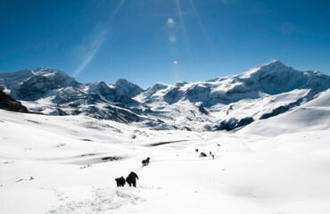 sonia peak climb chapchingol pass trek