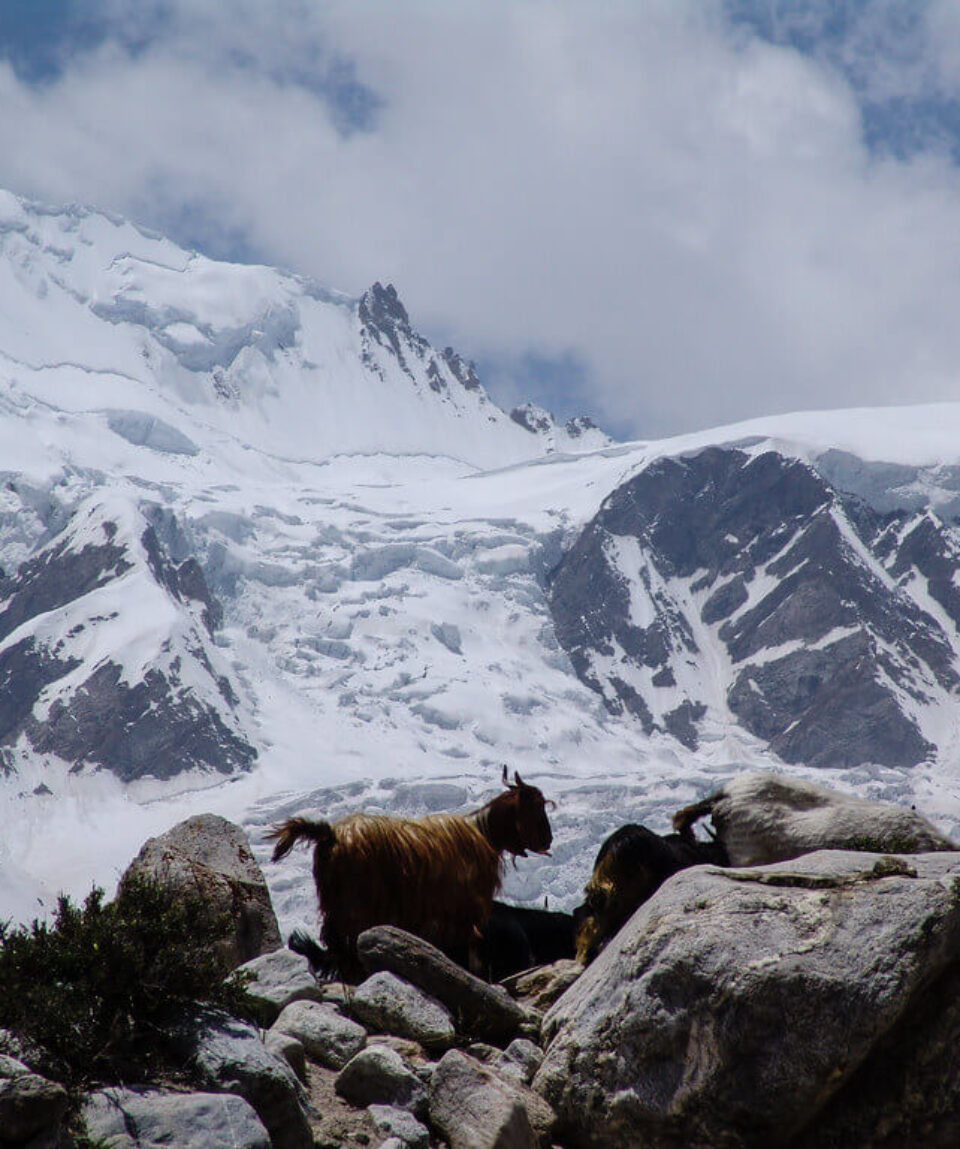 around nanga parbat trek