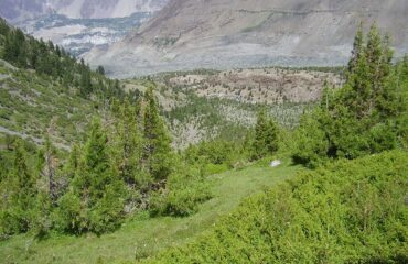 rakaposhi base camp trek