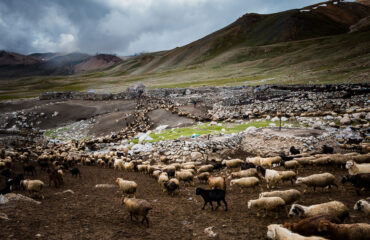 shimshal pass chafchingol pass trek