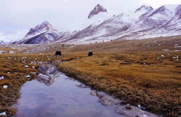 shimshal pass chafchingol pass trek