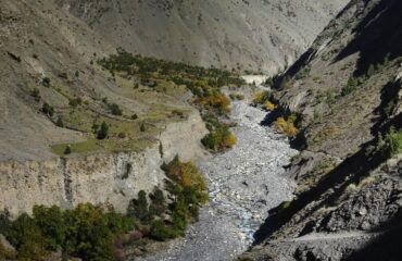 pakora pass