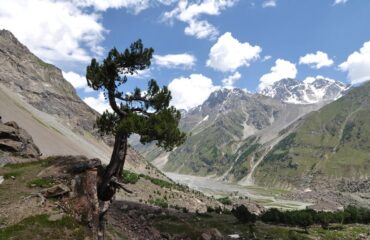 Naltar Valley