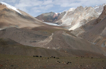 lupgar pir pass